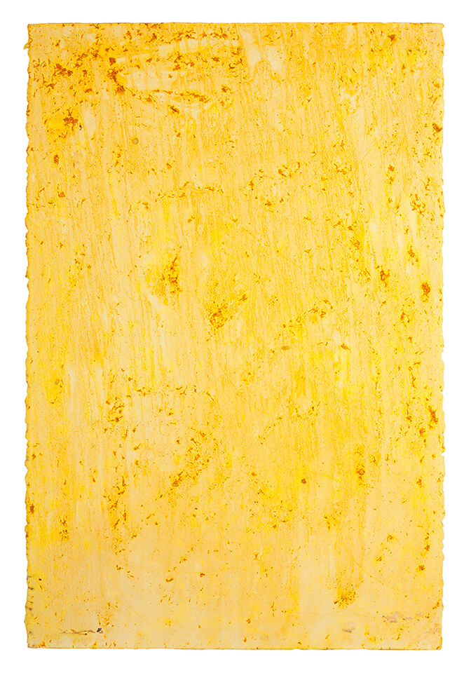 curcuma papel 08.jpg
